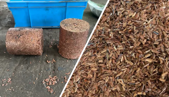 Brass chips