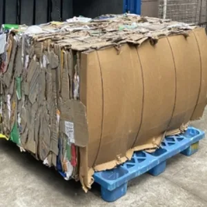 Cardboard